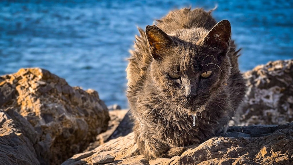 Instantáneas de la tecnología: Cómo capturar la era&nbsp;digital