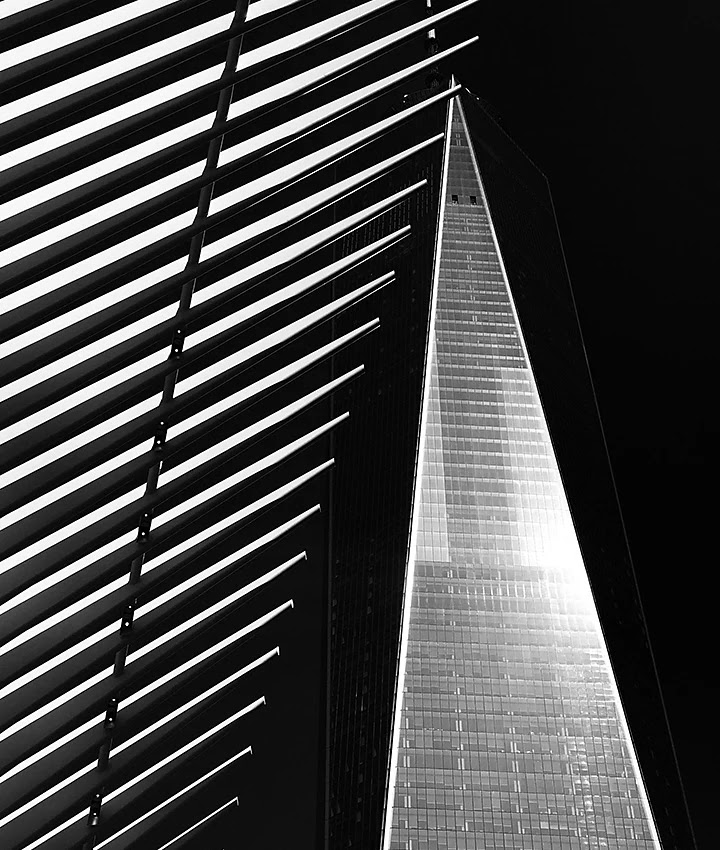 Así da forma con la luz Trevor Traynor a sus fotografías 