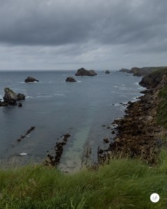 Acantilado de Somocuevas con hierba en primer plano y mar abierto al fondo.