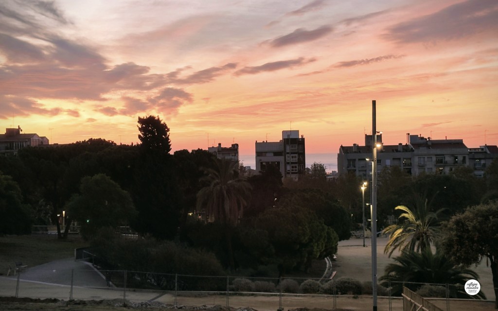 Camino rural bajo penumbra azul.